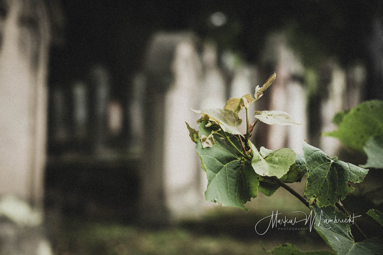 Hofgeismar, Jüdischer Friedhof